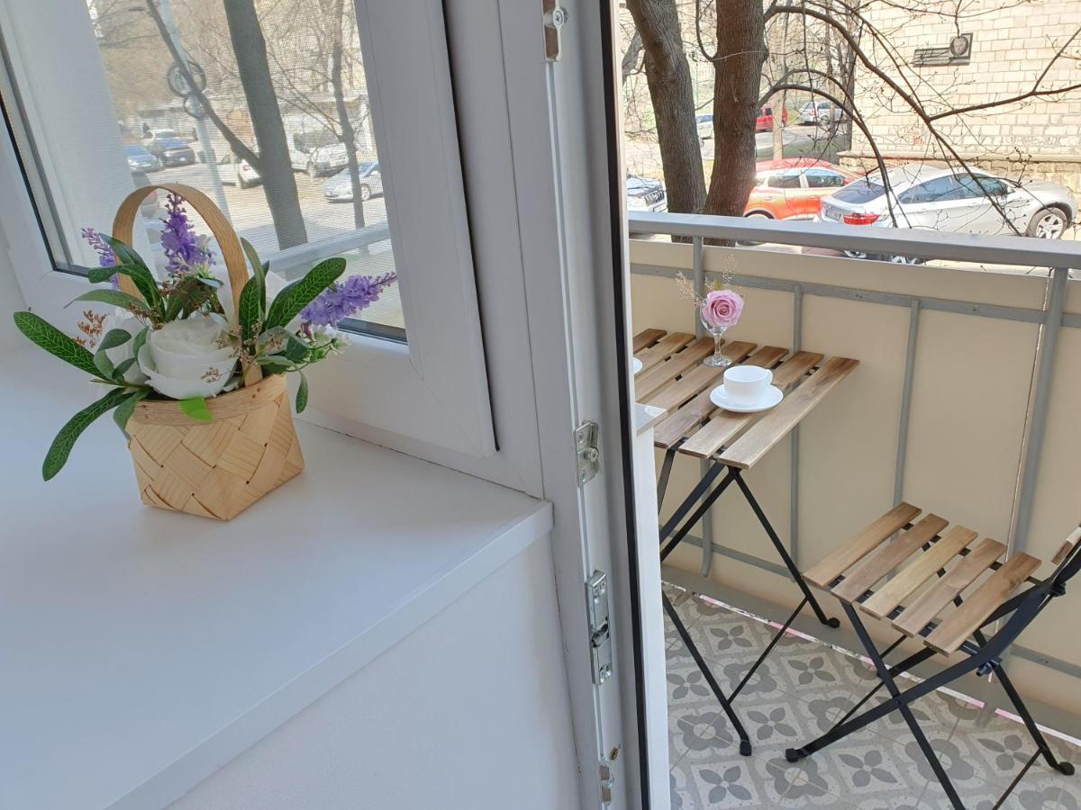 All New And Cozy Apartment In The Silence Center Chişinău Extérieur photo